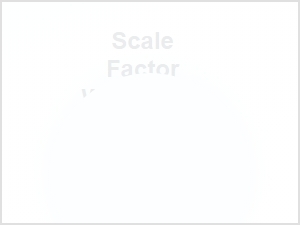 Optimizing Calculus Problems Using the Scale Factor